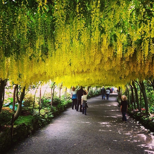 Tiga Wisata Alam Terbaik di Inggris, Salah Satunya Taman Bodnant