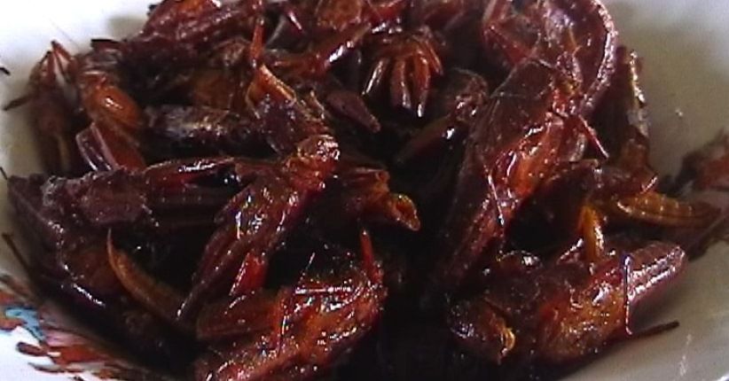 Nikmati Kelezatan Kuliner Yogya, Belalang Goreng hingga Sate Klatak