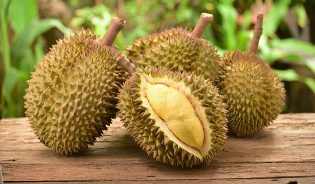 Belanja Oleh-Oleh Khas Medan, Jangan Lupa Beli Durian
