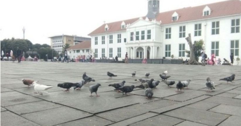 Ke Kota Tua, Turis Belanda Paling Antusias Belajar Sejarah Indonesia