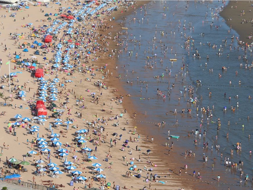 Punya Destinasi Menawan, Kota Ini Dikenal Paling Padat di Bumi