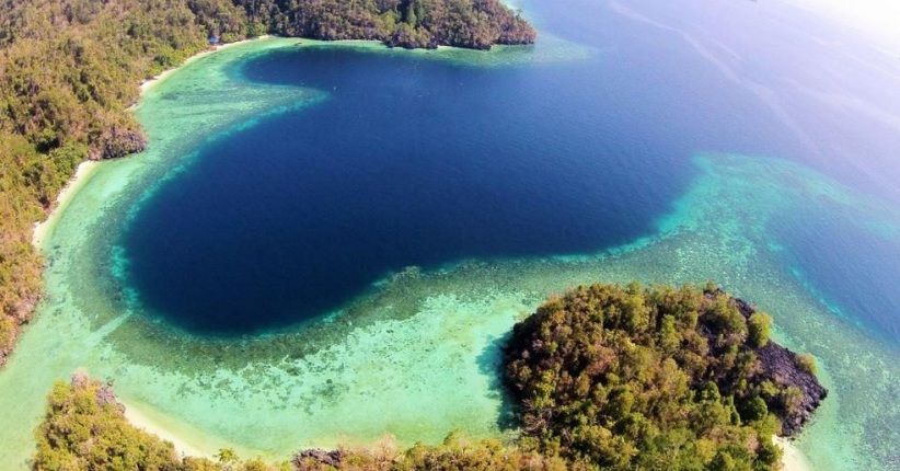 Mirip Raja Ampat, Nikmati Flying Fox di Pulau Labengki Sulawesi