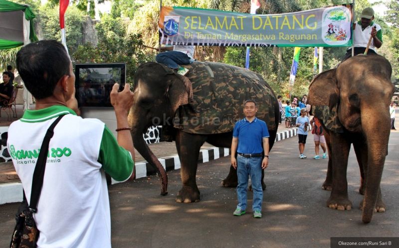 Berwisata ke Ragunan, 4 Hal Penting Ini Wajib Dipatuhi Pengunjung