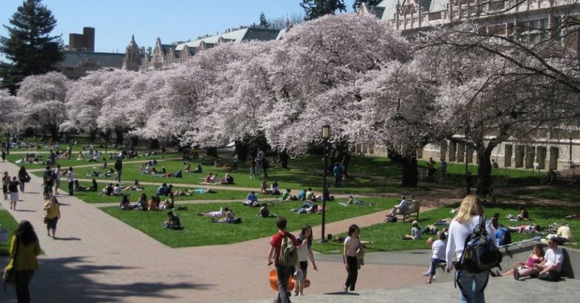 5 Kota Tercantik AS, Intip Pesona Honolulu yang Miliki Kawah Eponymous