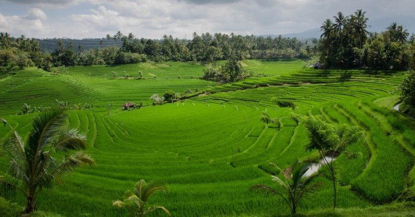 5 Destinasi Warisan Dunia, Subak Bali dan Lorentz Diincar Turis Dunia