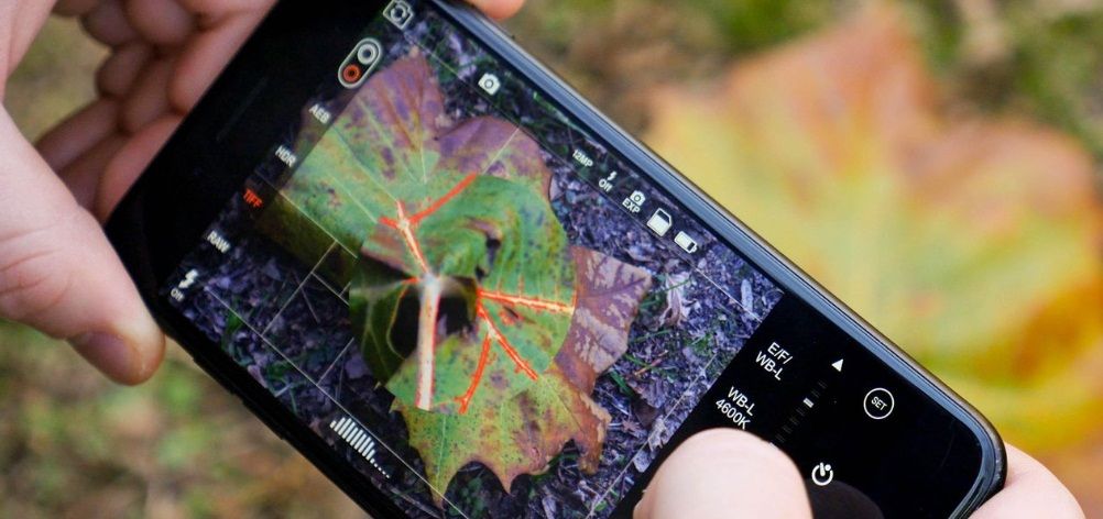 Empat Aplikasi Kamera iPhone yang Bisa Bikin Foto Makin Kece