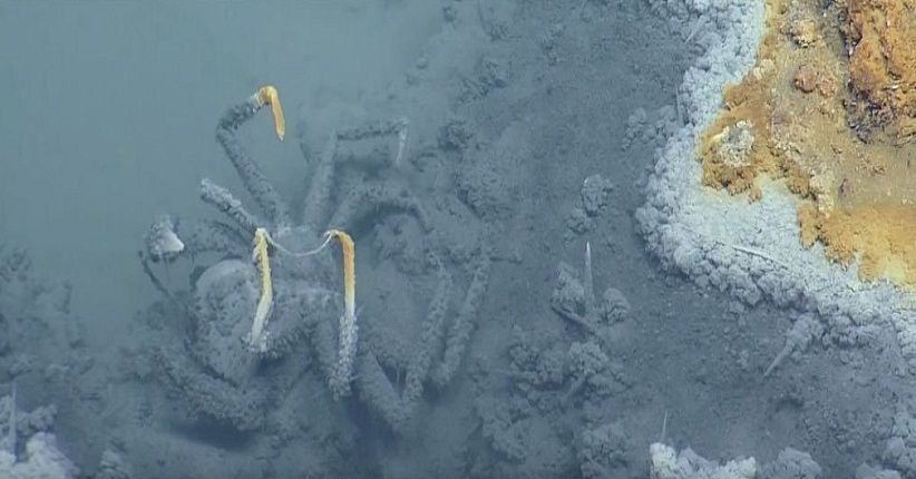 Ilmuwan Temukan 'Danau' di Dalam Laut, Airnya Mengandung Metana