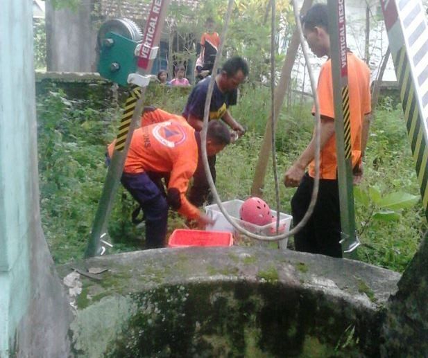 Tak Berani Turun saat Panjat Pohon Kelapa, Warga Dievakuasi Tim BPBD