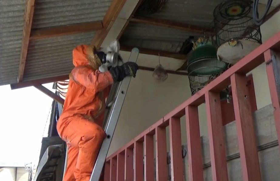 Ngamuk, Sekawanan Lebah Serang 4 Anak Perempuan Warga Kemayoran