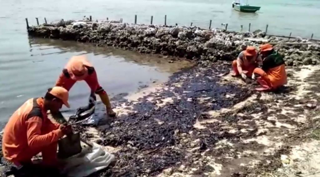 Pulau Pari Tercemar Tumpahan Minyak, Polisi Selidiki Unsur Kesengajaan
