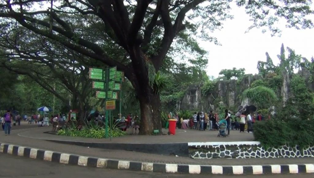 Ada Lonjakan 4 Kali Lipat, Pengunjung Ragunan Hari Ini 14.000 Orang