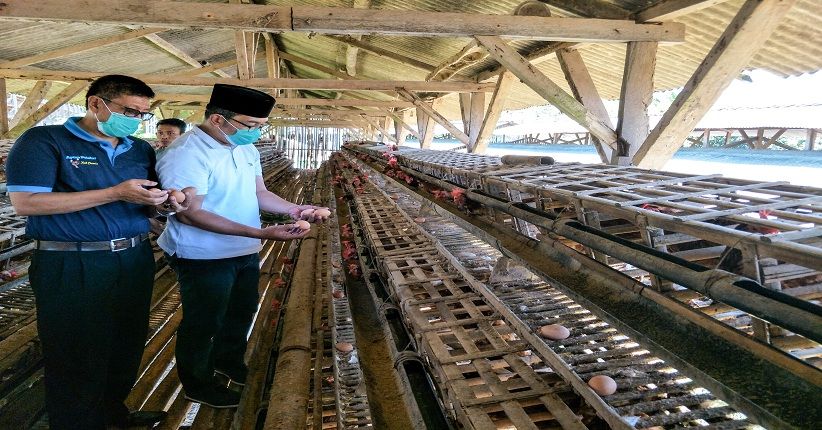 Ridwan Kamil Impikan Jabar Jadi Penyuplai Telur Terbesar di Indonesia