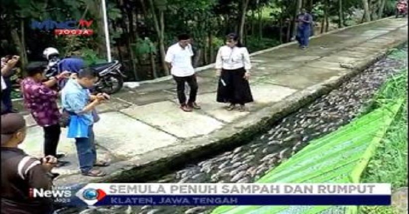 Inspiratif, Warga Klaten Sulap Parit Irigasi Sawah Jadi Kolam Ikan