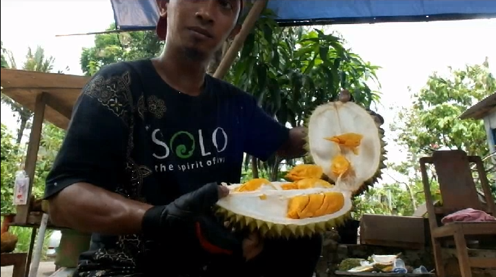 Menjajal Durian Kencana Rukmi Khas Patuk Gunungkidul yang Super Lezat