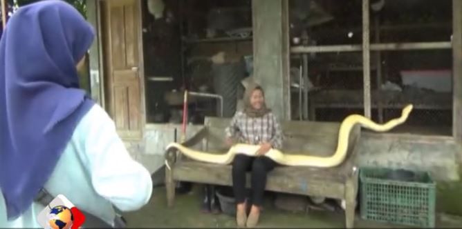 Pengunjung Fantasi Zoo Kebumen Capai 1.600 Orang Setiap Hari