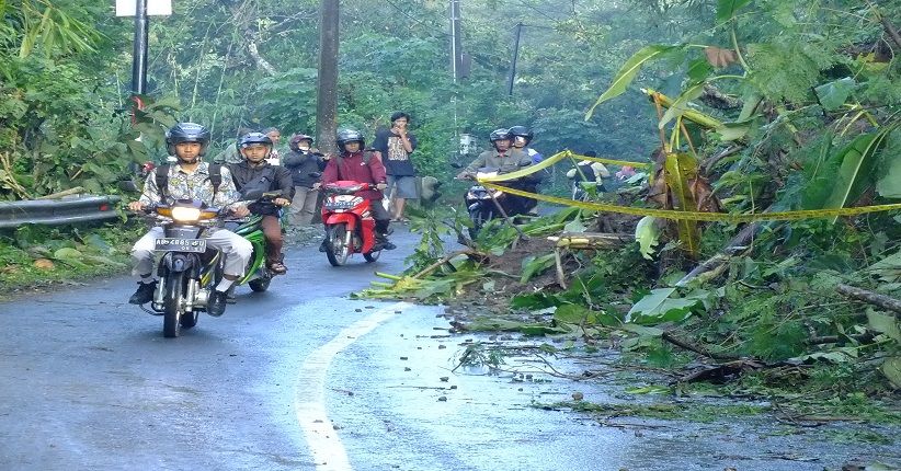 Hujan Deras di Kulonprogo akibatkan Longsor di 4 Titik