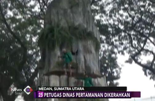 Dinas Pertamanan Siapkan Dekorasi Taman Ngunduh Mantu Kahiyang-Bobby