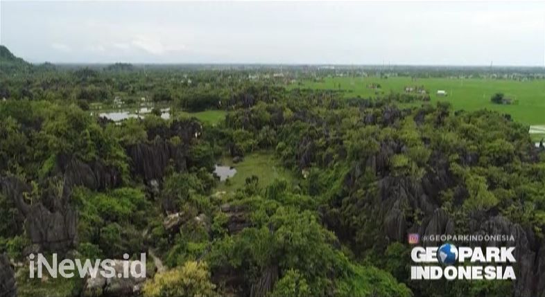 Geopark Maros, Keindahan Hutan Karst Terluas Kedua di Dunia