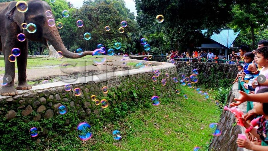 Libur Tahun Baru, Pengunjung Ragunan Bakal Membeludak