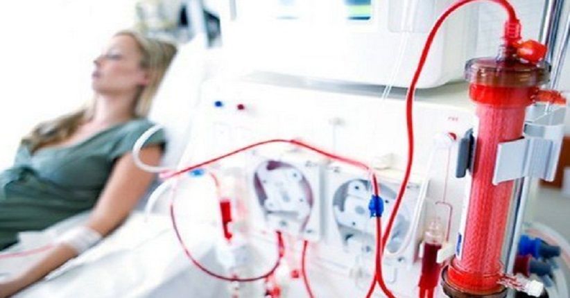 Hari Ginjal Sedunia, Penyakit Ginjal Lebih Banyak Serang Wanita
