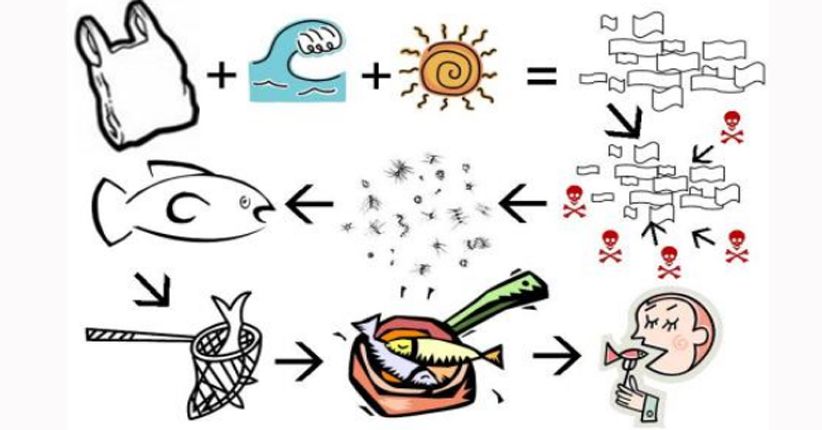 Mikroplastik Masuk Tubuh Manusia Bahayakah? Ini Jawabannya