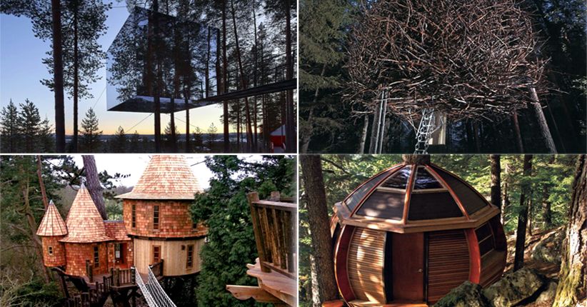 5 Rumah Pohon Terindah, Nomor 4 Bisa Berkamuflase