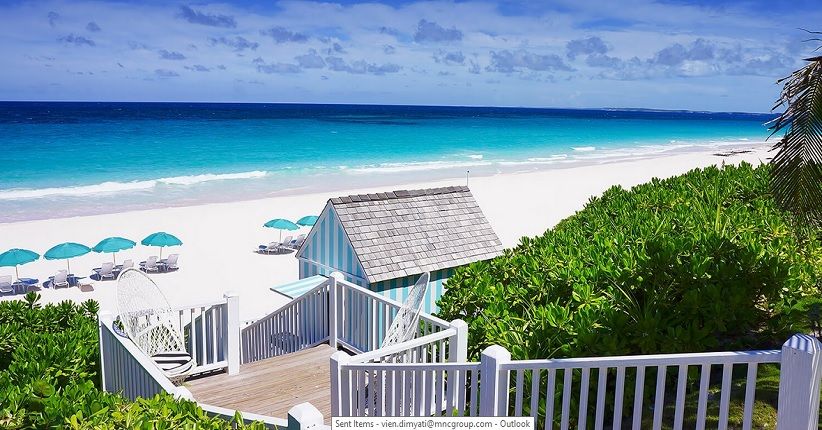 Selain Pasir Pink, Pulau Harbour Miliki Pesona Terumbu Karang Terindah