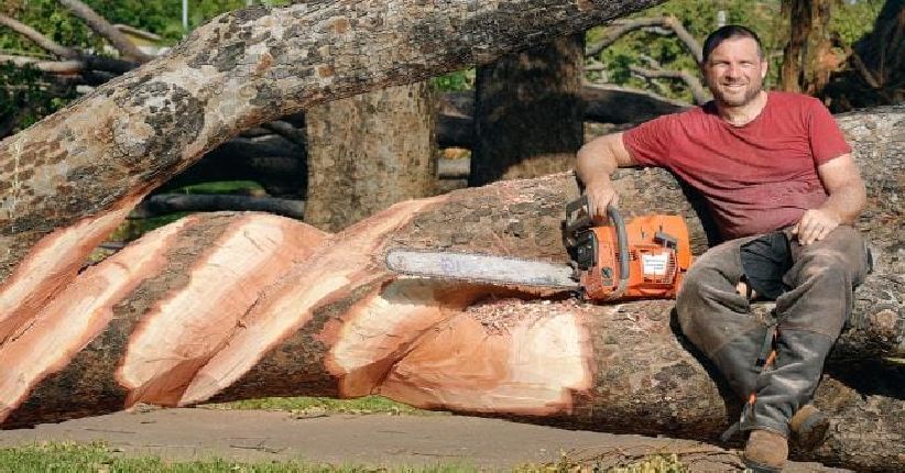 Kreatif, Pria Ini Ubah Pohon Tumbang Jadi Karya Seni