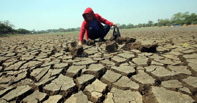 Musim Kemarau, 10 Daerah Ini Terancam Alami Kekeringan