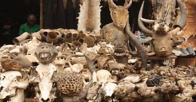 Selain Pasar Jimat di Afrika, 6 Negara Ini Miliki Destinasi Unik