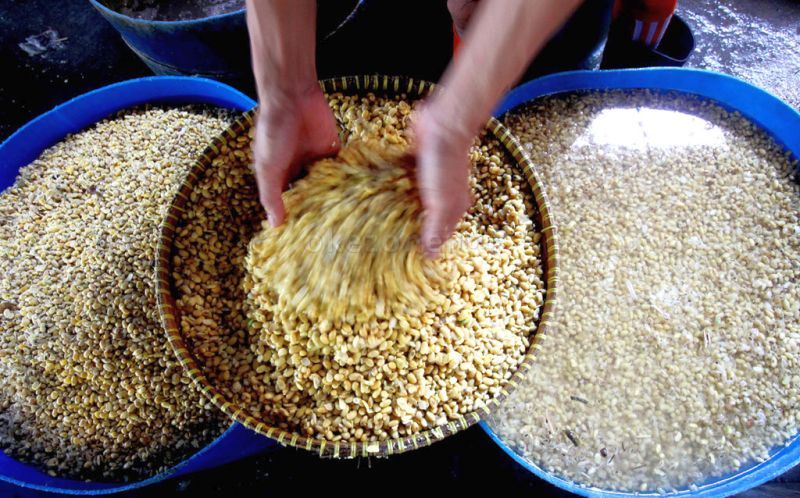 Program Bantuan Pembelian Selisih Harga Kedelai Diperpanjang hingga Desember 2022