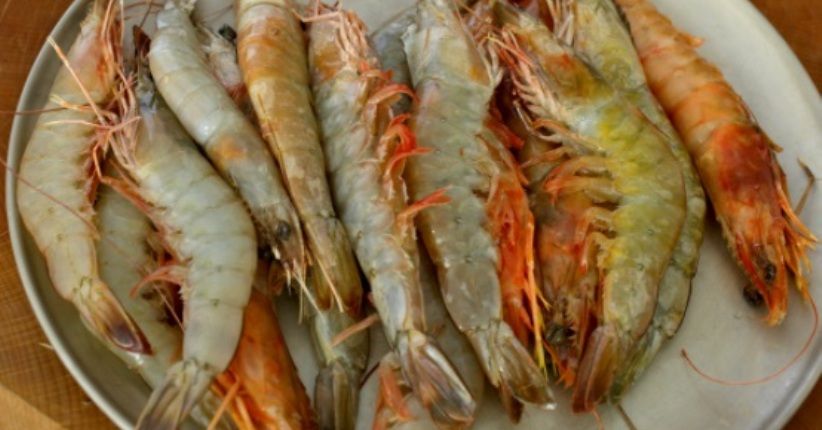 Selain Udang, Ini Makanan yang Baik untuk Metabolisme Tubuh