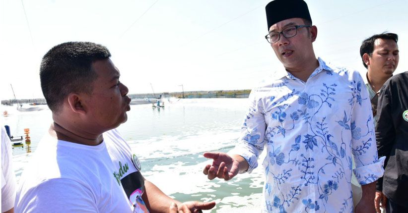 Ridwan Kamil Gagas Gudang Juara untuk Komoditi Garam dan Udang