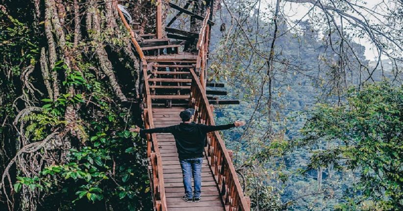 Wisata Bakukung Bogor, Jelajahi Indahnya Kebun Teh Peninggalan Belanda