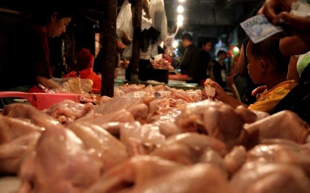 Warga Terima Bansos Daging Ayam Busuk, Tak Layak Dikonsumsi