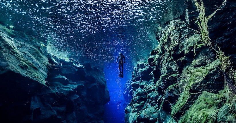 4 Foto Menakjubkan yang Menunjukkan Pesona Keindahan Laut Dunia