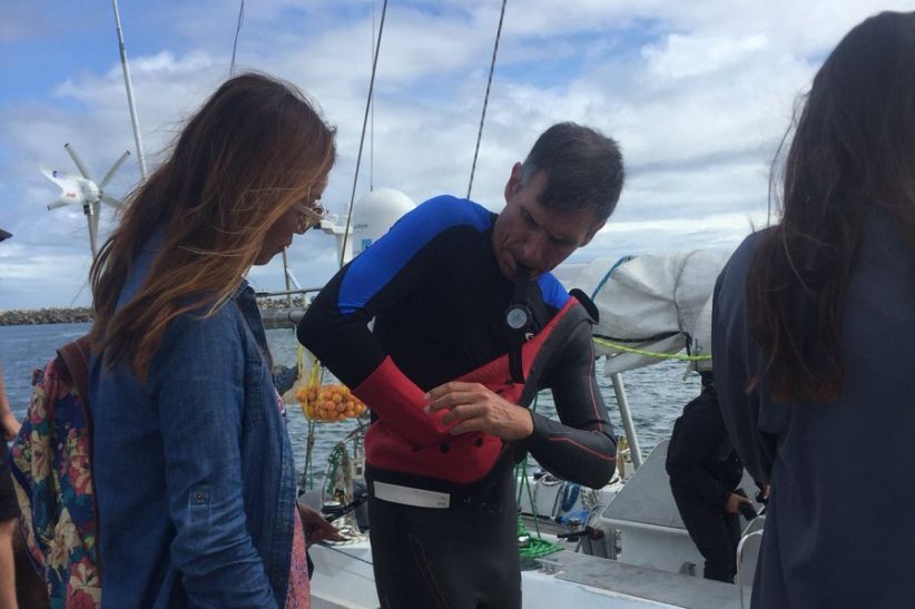 Pria Ini Berenang Seberangi Pasifik dari Jepang ke AS Sejauh 9.000 Km