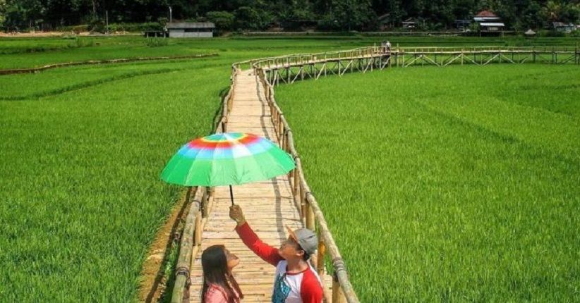 Lagi Hits, Libur Lebaran ke Yogya sambil Wisata ke Persawahan Sukorame
