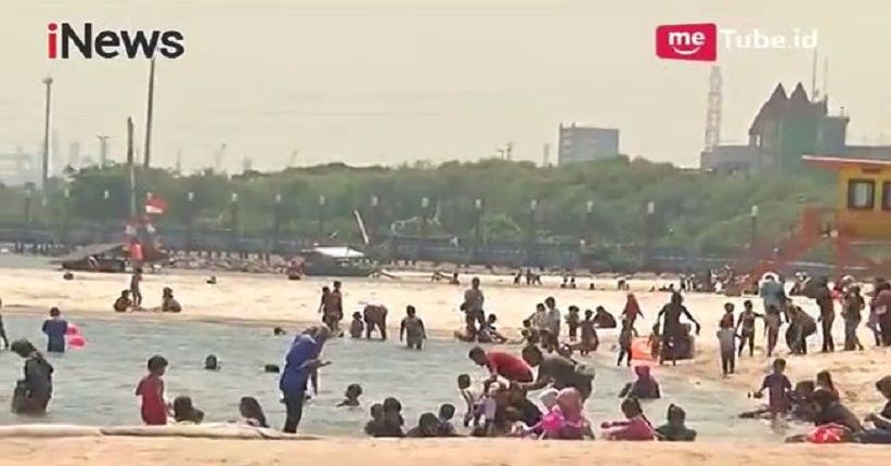 Soal Viral Penampakan Buaya Liar, Begini Respons Pengelola Ancol