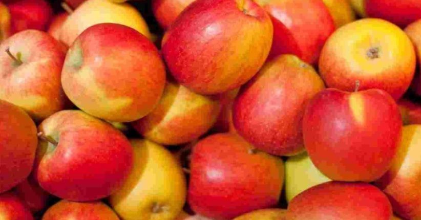 Ingin Bikin Buah Cepat Matang? Bungkus Saja dengan Kantong Kertas