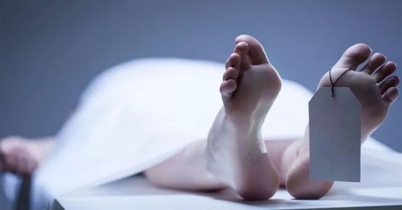 2 Orang Tewas usai Digigit Kutu, Korban Diduga Terinfeksi CCHF