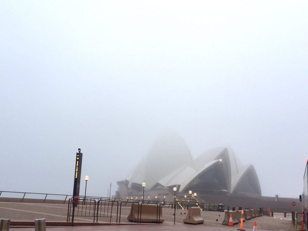 Sydney Diselimuti Kabut Tebal, Jadwal Pesawat dan Feri Dibatalkan