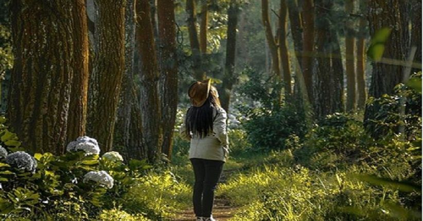 Wisata Malang, Mengunjungi Coban Talun Berburu Foto di Jembatan Jodoh