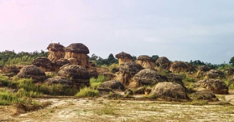 Tersembunyi di Gresik, Yuk Kunjungi Bukit Jamur yang Lagi Kekinian