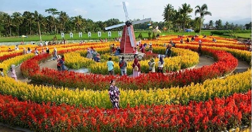 Mengintip Keindahan Taman Bunga Ramadanu yang Lagi Hits di Magelang