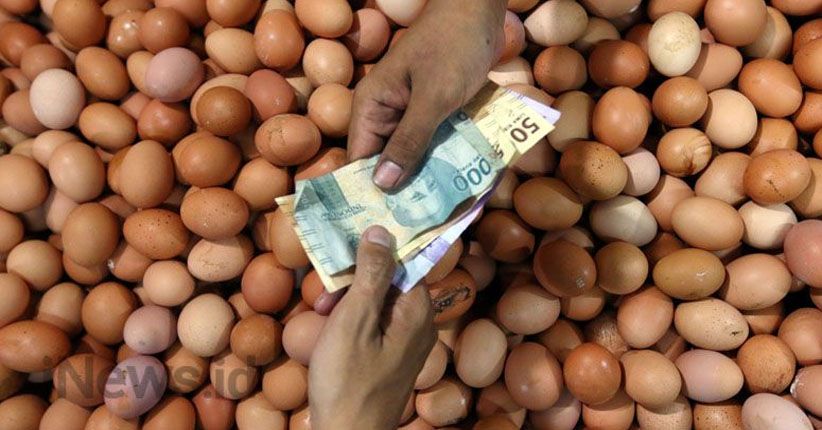Harga Telur di Ambon Turun Bervariasi, Ikan dan Daging Ayam Tetap