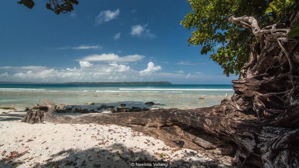 Mengintip Pulau Hantu yang Dulunya Memukau di Tengah Samudera Hindia