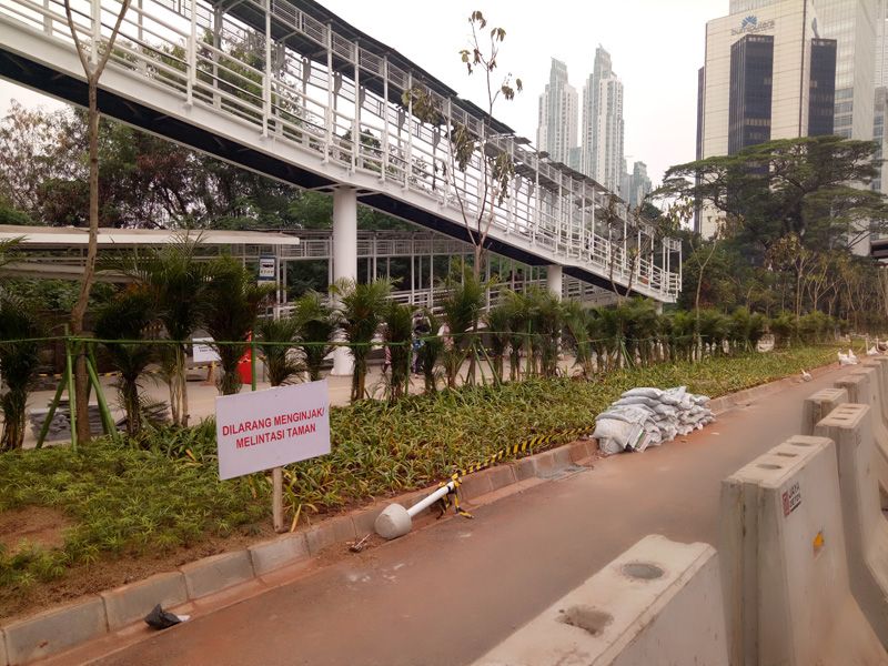 Trotoar Thamrin-Sudirman Mulai Ditanami Pohon dan Bunga