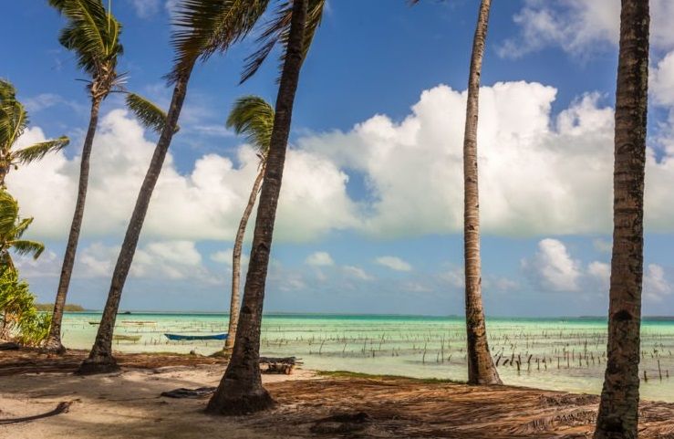 Kiribati Negara Pertama Sambut Tahun Baru 2024, Beda Sehari dengan Hawaii walau Punya Waktu Sama