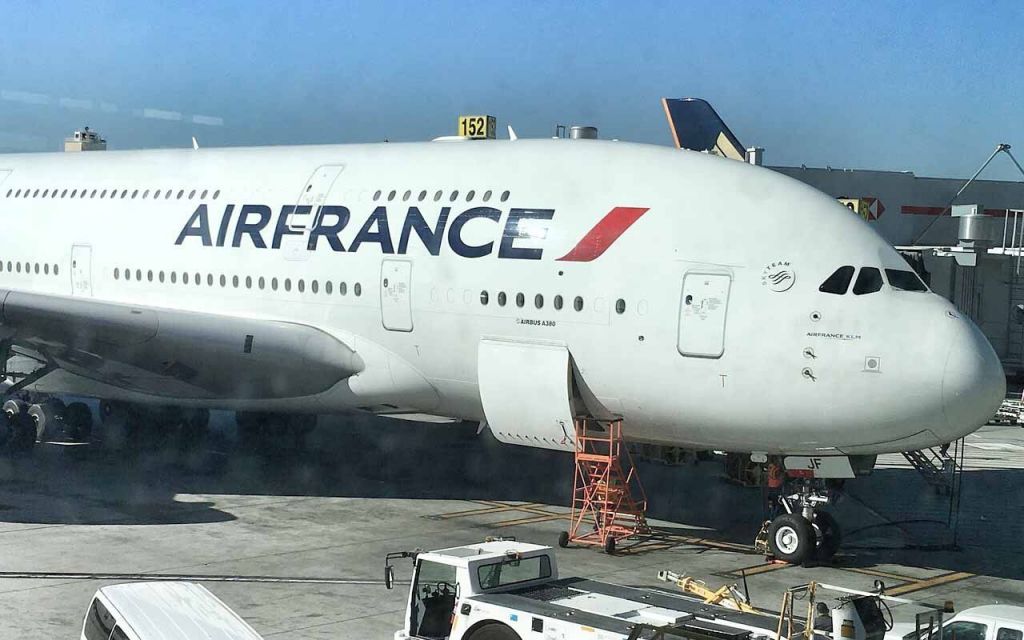 Pria Austria Ditangkap Gara-Gara Bawa 80 Burung dalam Pesawat ke Paris